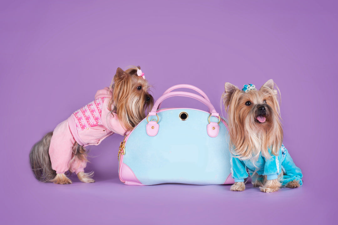 Pet Care